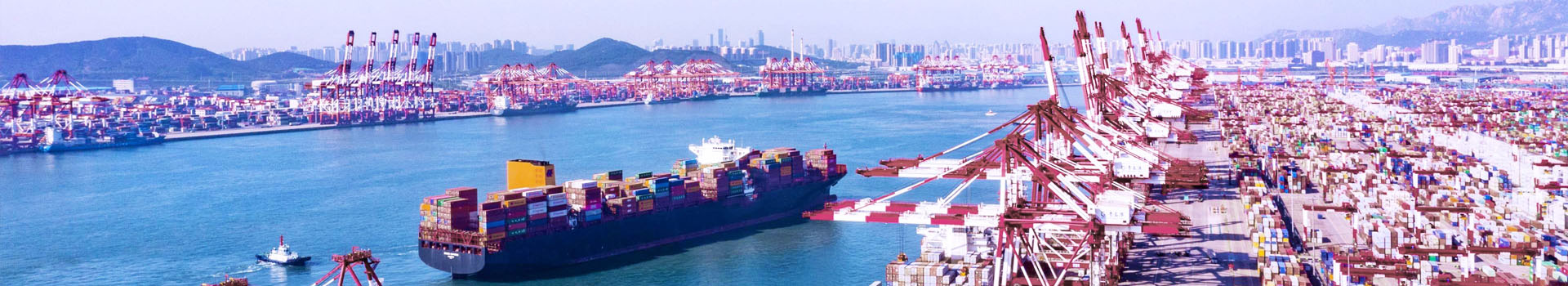 高強度卸扣和普通卸扣怎么區分？_了解起重鉗_新聞動態_起重鉗,鋼板起重鉗,吊裝鉗,鋼板鉗,起重吊裝鉗-辰力集團有限公司